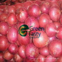 New Crop Fresh Red Onion in High Quality